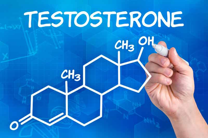 Qu'est-ce que la testostérone ?